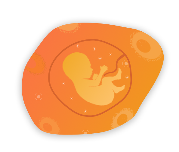 什么是胎盘干细胞？博雅干细胞 存储干细胞 存储健康