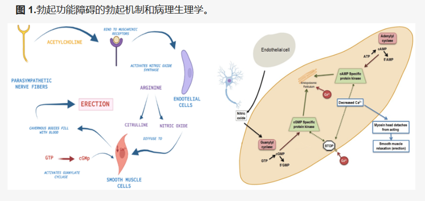 微信图片_20250210092956.png