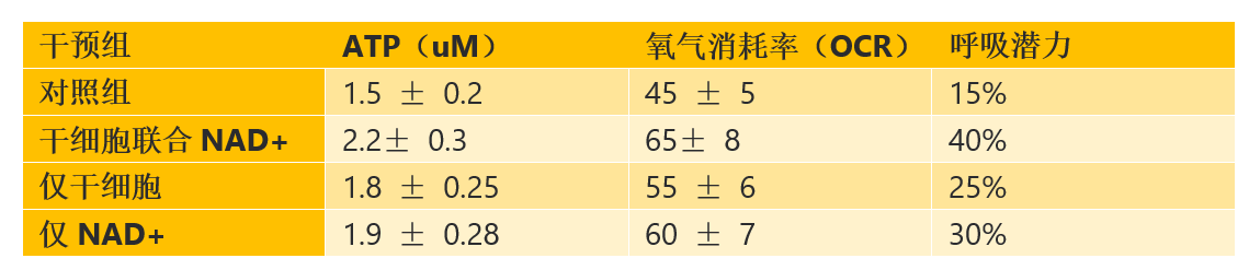 13.png