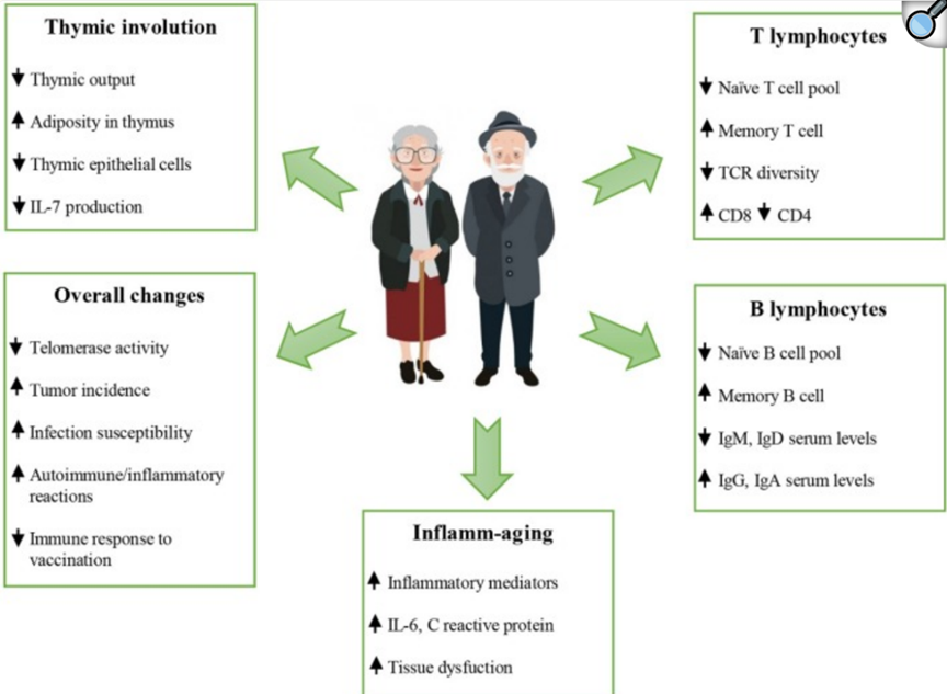 1758849753134065.png 微信图片_2025-09-26_092131_790.png