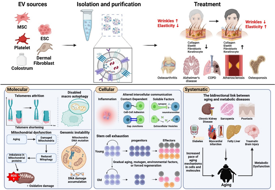 1758849923330096.png 微信图片_2025-09-26_092333_445.png