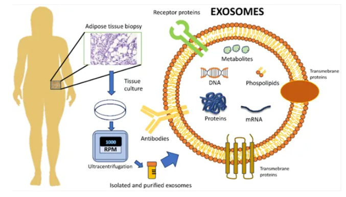 1758850814417752.png 3.png