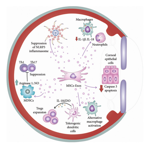 1758850821947258.png 4.png