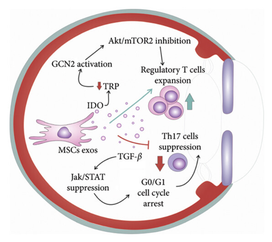 1758850826751033.png 5.png