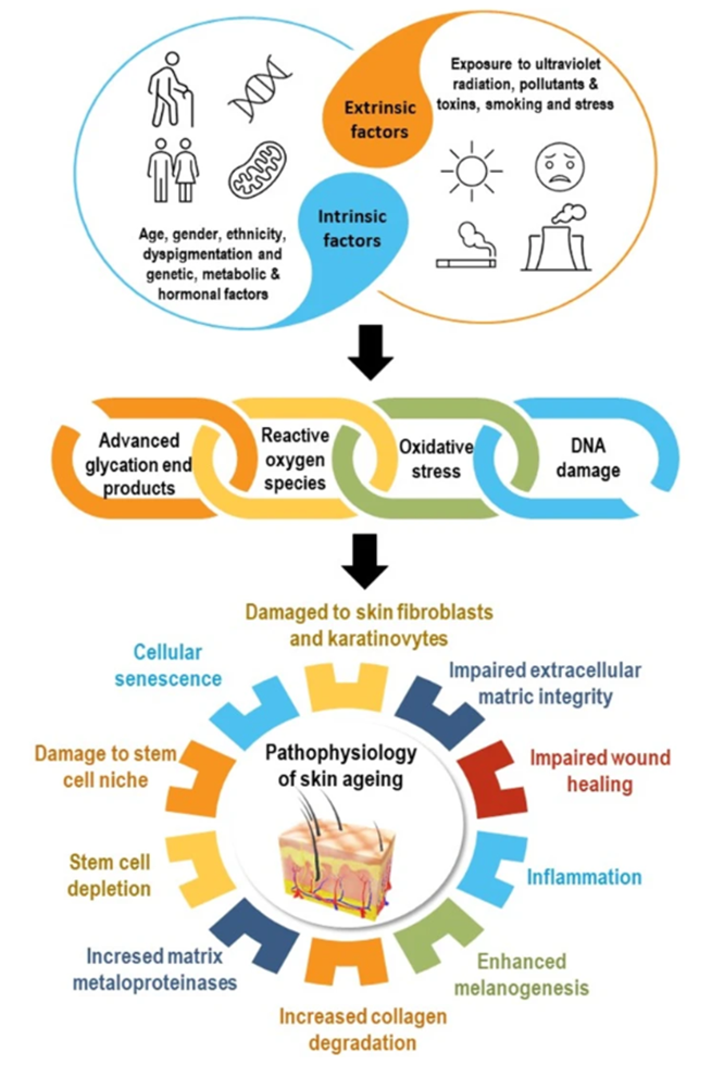 1760679710457126.png 微信图片_2025-10-17_133350_472.png