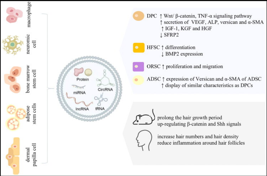 1760679984107859.png 微信图片_2025-10-17_134517_783.png