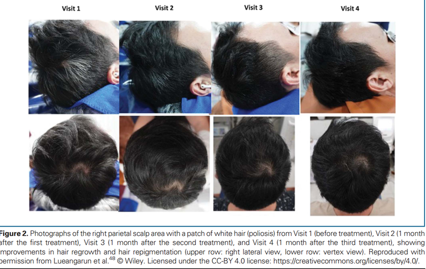 1760680018866315.png 微信图片_2025-10-17_134527_922.png