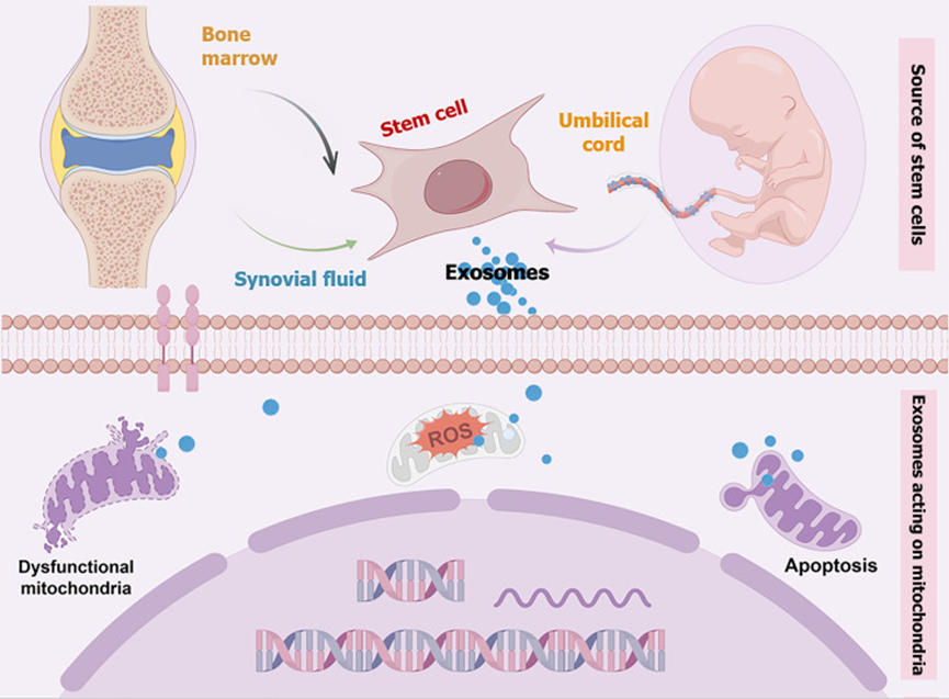 1760680547124792.png 微信图片_2025-10-17_135306_072.png
