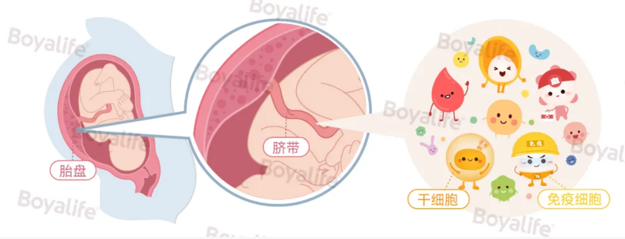 1761296391100608.png 1.png