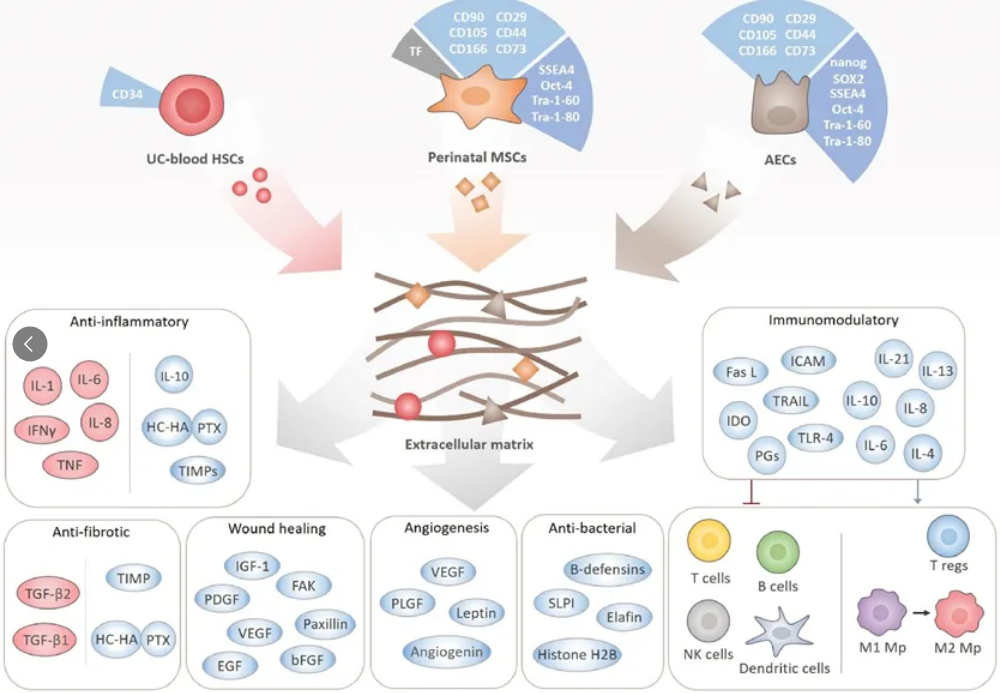 1761296401123277.png 2.png