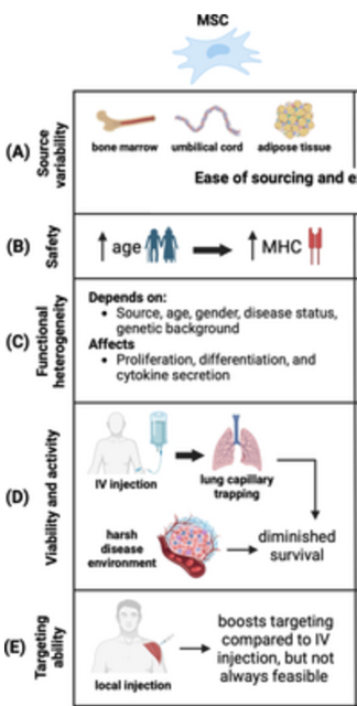 1762399656453598.png 5.png