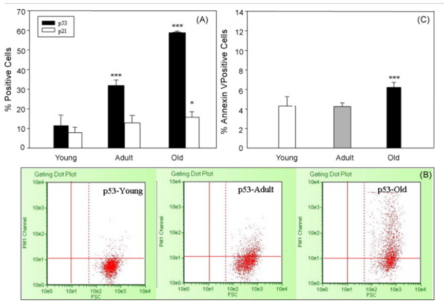 1762399790596420.png 8.png