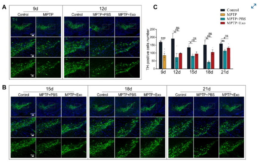 1765419112986073.png 4.png