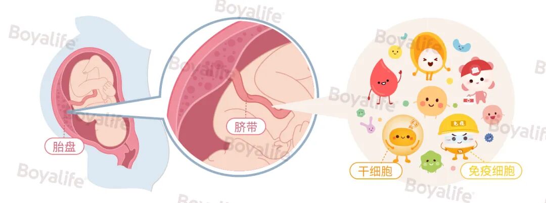 1765419655505020.jpg 1.jpg