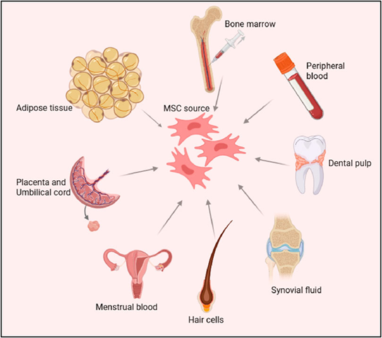 1765419663474597.png 2.png