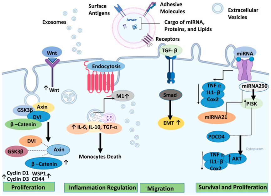 1765420639356733.png 4.png