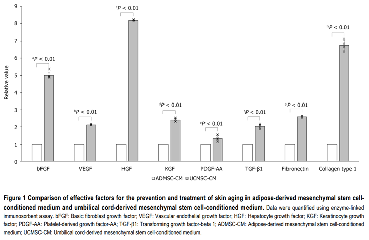 1765421391174493.png 2.png