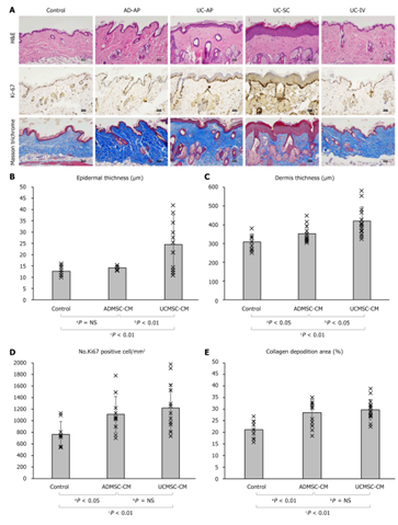 1765421400568751.png 3.png