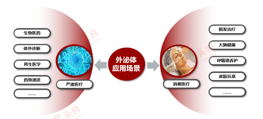 1765421882384187.png 2.png