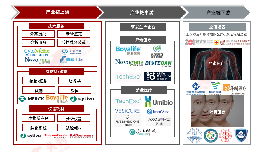 1765421892161369.png 3.png