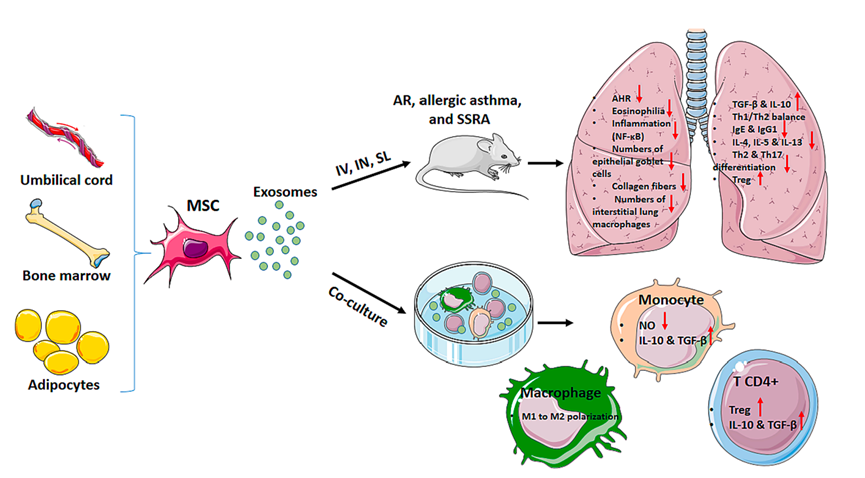 1765422158121801.png 3.png