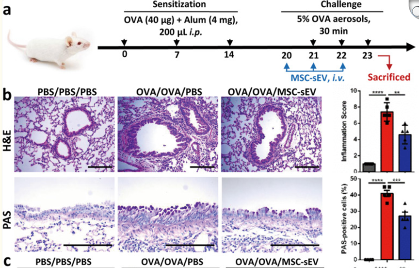 1765422164254748.png 4.png