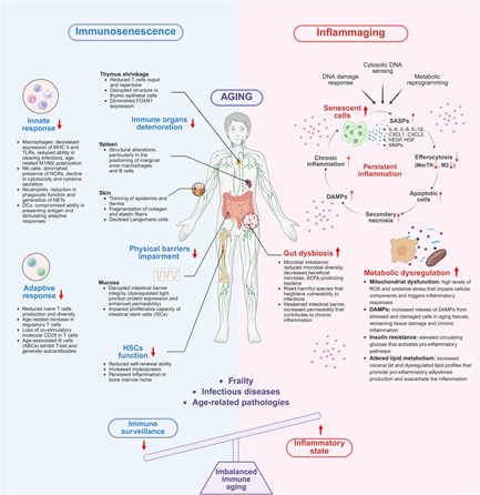 1765422330318521.png 2.png