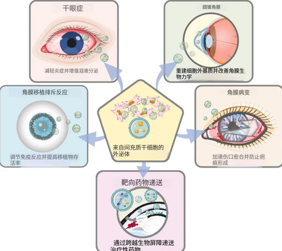 微信图片_2026-04-16_175523_499.png