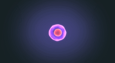 微信图片_2026-05-15_104029_479.jpg