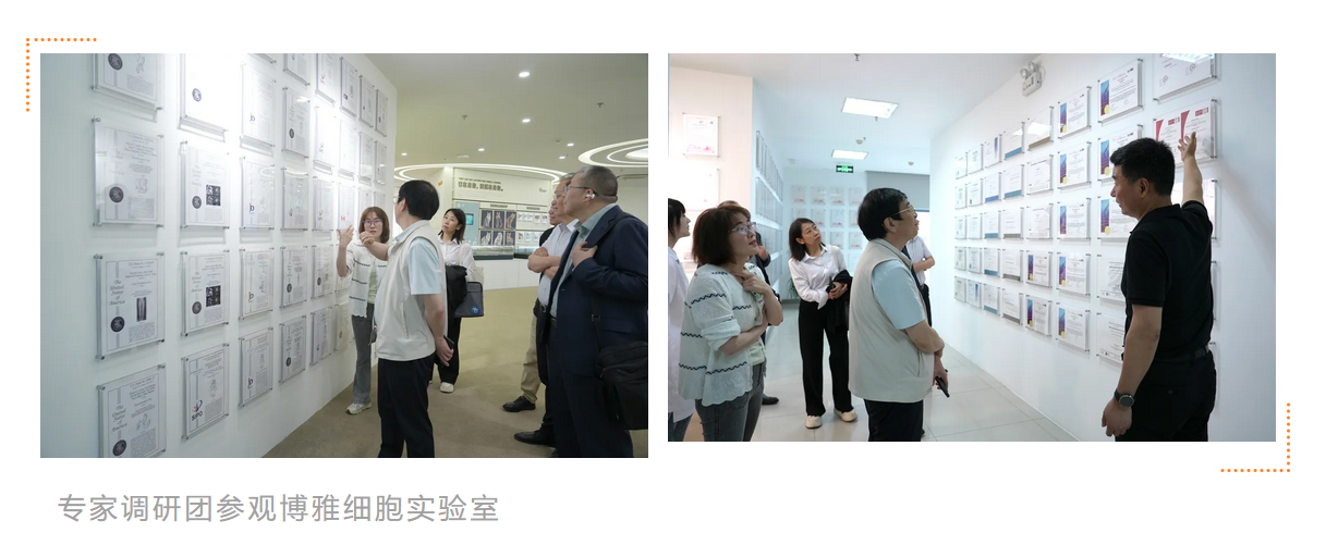 微信图片_2026-06-02_151650_599.png