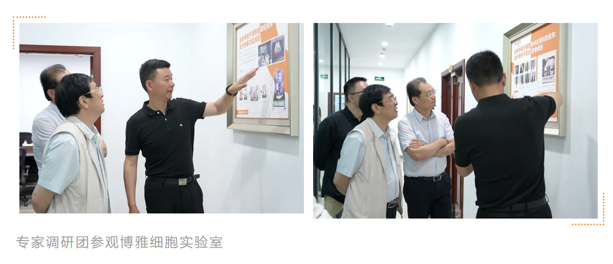 微信图片_2026-06-02_151705_847.png
