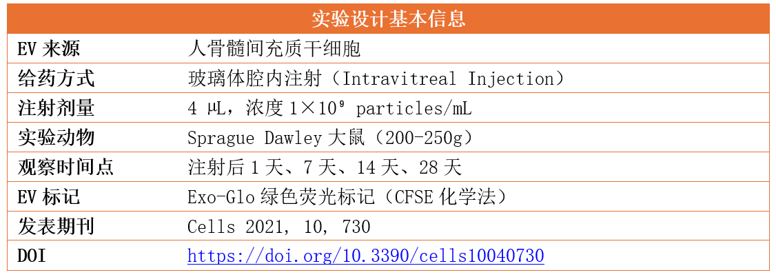 ff50d36b-73f4-40e1-8b2e-9f7da0ffdbe9.png