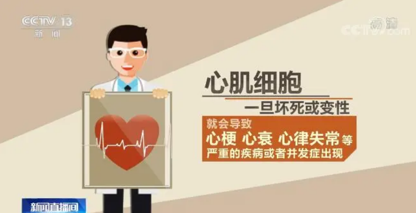 微信图片_2026-06-11_105405_530.png