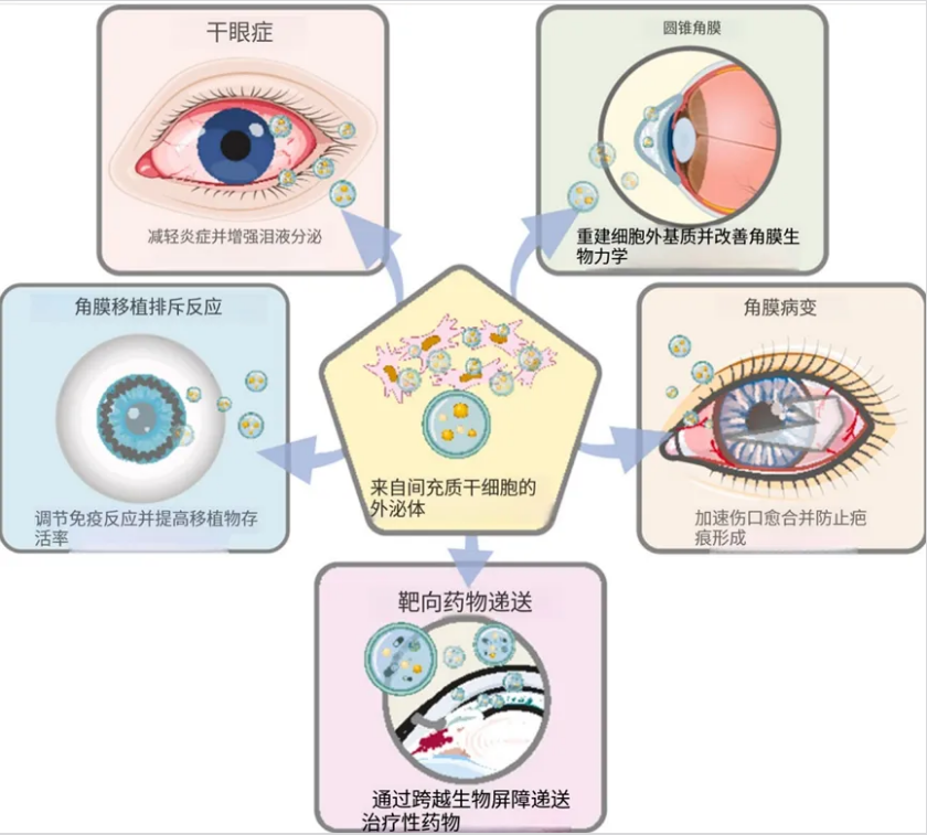 微信图片_2026-07-24_165521_665.png