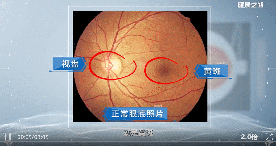 微信图片_2026-07-24_164946_105.jpg