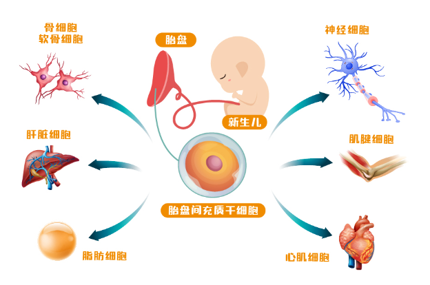 微信图片_2026-08-27_172432_680.png