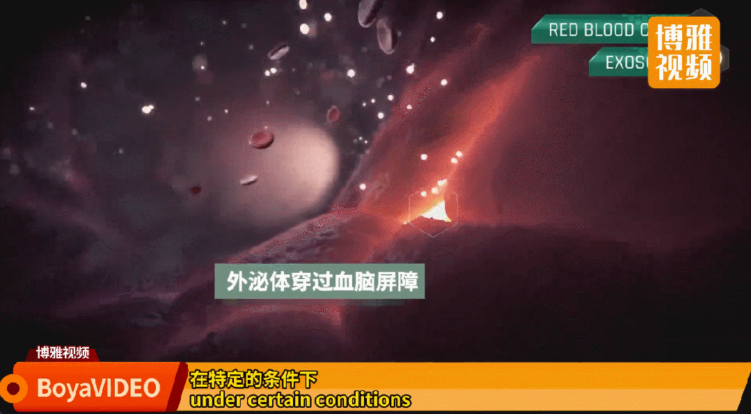 微信图片_2026-09-20_152528_493.jpg