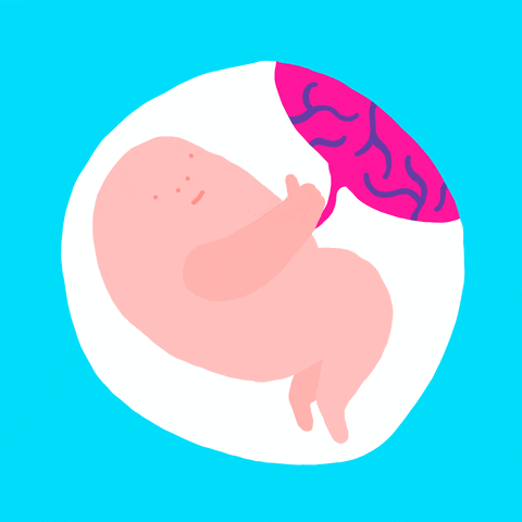 1792639184469046.gif 583eb0d9-9813-4562-a2f6-1ba8af88be90.gif