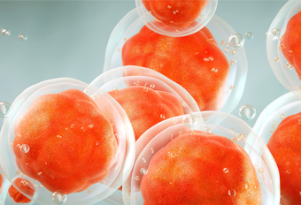 我国学者发现年轻血液中的细胞外囊泡可延长寿命！获诺贝尔奖的“黑科技”你知多少？ 博雅干细胞 存储干细胞 存储健康