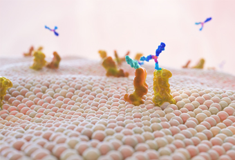 免疫细胞年龄图谱发布！同样是60岁，为什么有人看着像40岁？ 博雅干细胞 存储干细胞 存储健康