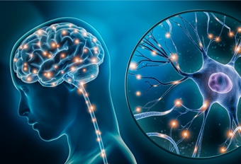 鼻滴干细胞干预脑损伤：炎症抑制75%，损伤缩小42%，神经再生2倍 博雅干细胞 存储干细胞 存储健康